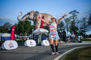 BIB: 
                            <button type="button" onclick="openModal(26542003)" class="btn btn-primary btn-sm float-right btn-popup" data-toggle="modal" data-target=".modal-high-quality">
                        <i class="fas fa-shopping-cart"></i> Add to Cart
                    </button>
                                            <button type="button" onclick="isThisMe(26542003, true)" class="btn btn-success btn-sm float-right btn-popup btn-isme hidden" data-toggle="tooltip" data-placement="bottom" title="นี่คือรูปของคุณใช่ไหม คลิกที่นี่เพื่อเอาเข้าอัลบั้ม">
                        <i class="fas fa-plus"></i> Add to album
                    </button>
                    <button type="button" onclick="isThisMe(26542003, false)" class="btn btn-warning btn-sm float-right btn-popup btn-isnotme hidden">
                        <i class="fas fa-ban"></i> Remove from album
                    </button>